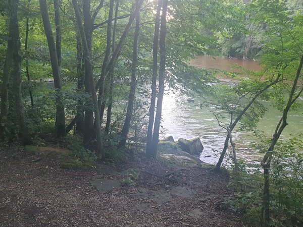 Einstieg Nr. 2 runter vom Weg zum Wasser am Zusammenfluss Ager-Vöckla, um etwa 100 Meter flussabwärts schwimmen zu können